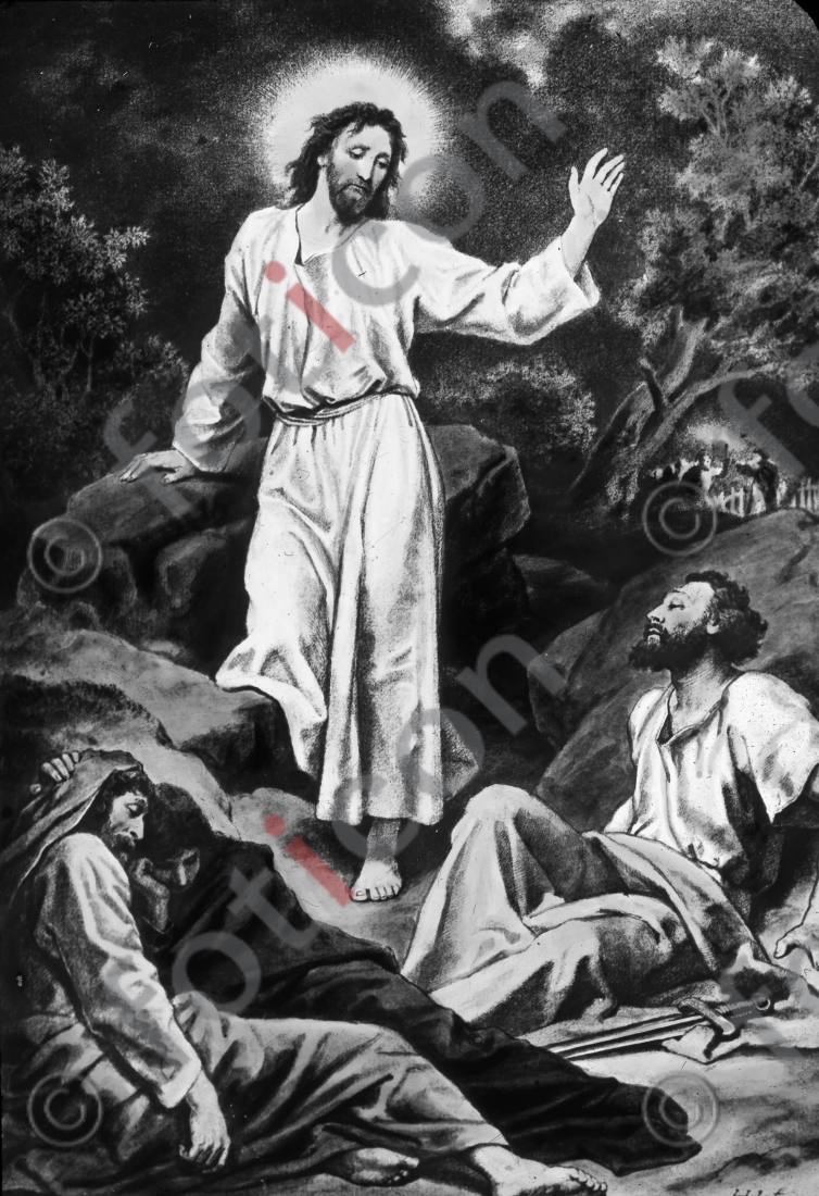 Jesus im Garten Gethsemane | Jesus in the Garden of Gethsemane (foticon-600-Simon-043-Hoffmann-020-2-sw.jpg)
